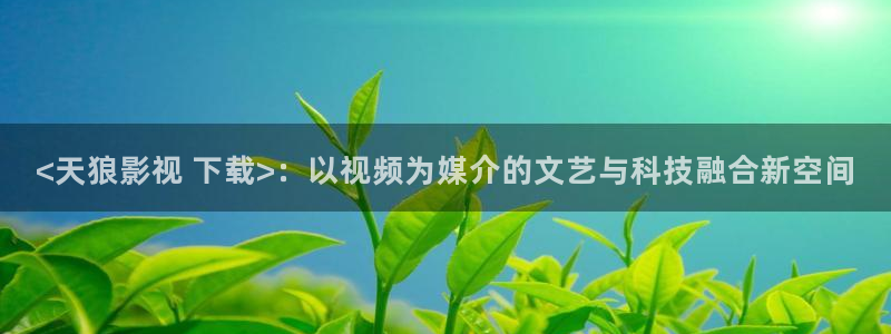 人人视频电脑版
