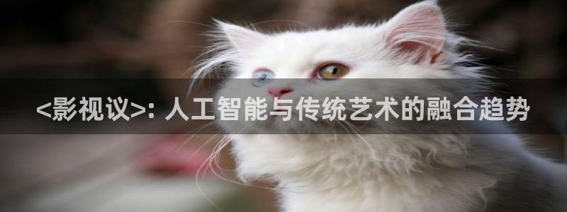 人人影巴