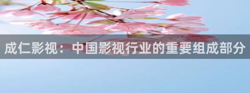 人人干人人影院片
