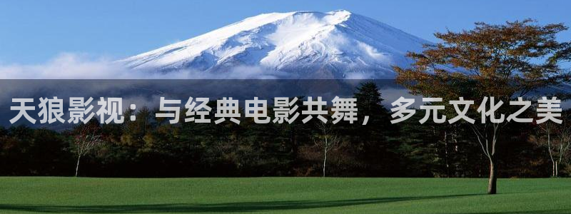 人人影巴