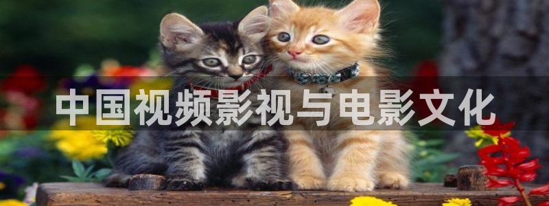 人人影院在线观看：中国视频影视与电影文化