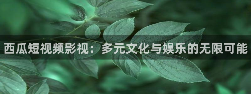 人人影视在线：西瓜短视频影视：多元文化与娱乐的无限可能