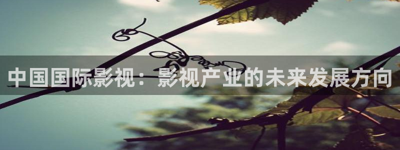 人人影视在线电视剧：中国国际影视：影视产业的未来发展方向