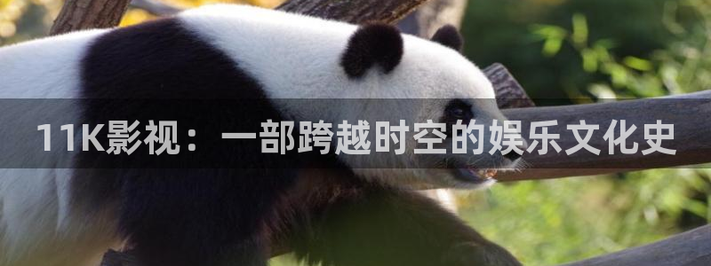 理论片人人影院：11K影视：一部跨越时空的娱乐文化史