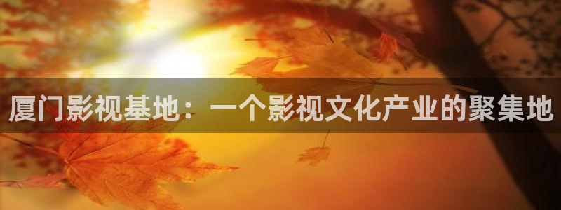 人人干人人视频：厦门影视基地：一个影视文化产业的聚集地