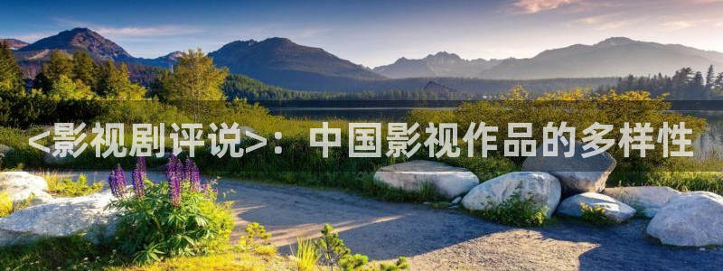 人人干人人视频：<影视剧评说>：中国影视作品的多样性