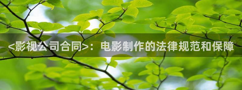 人人视频网站：<影视公司合同>：电影制作的法律规范和保障