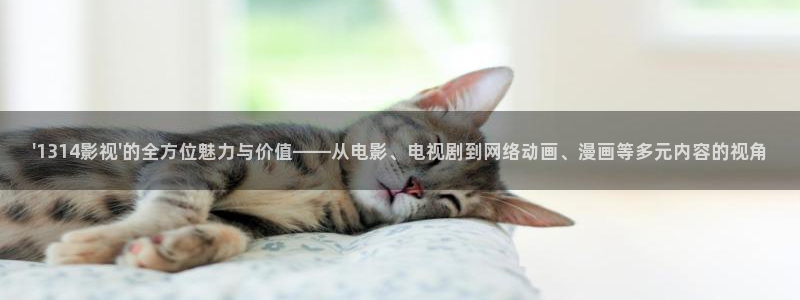 人人影院电影大全：\'1314影视\'的全方位魅力与价值——从电影、电视剧到网络动画、漫画等多元内容的视角