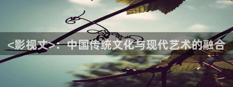人人影院电影免费观看：<影视丈>：中国传统文化与现代艺术的融合