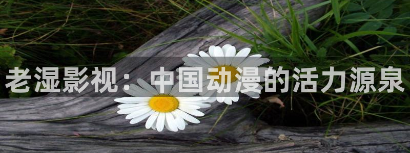 人人影院在线：老湿影视：中国动漫的活力源泉