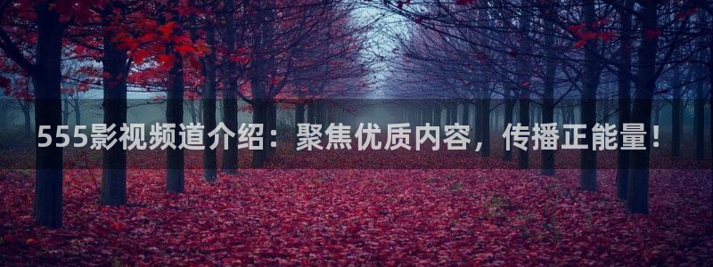 人人影剧：555影视频道介绍：聚焦优质内容，传播正能量！