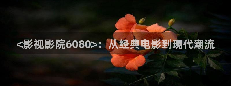 人人视频电脑版：<影视影院6080>：从经典电影到现代潮流