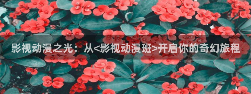 51人人影豆网理论片