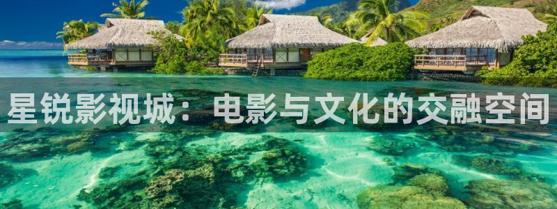 人人影视大全