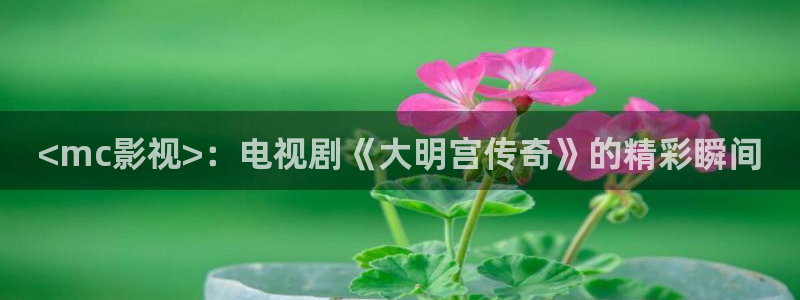 人人影院伦理