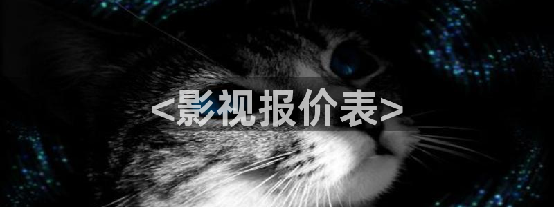 人人影音播放器