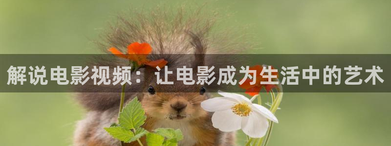 人人影视在线观看