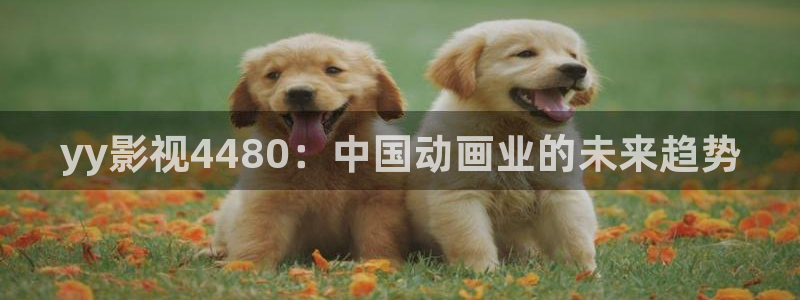 人人影视网