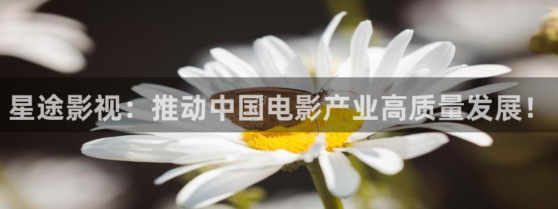 甄执� 人人影视