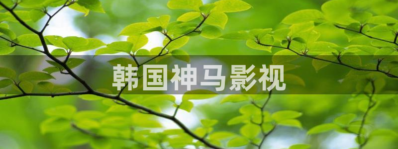 人人视频网站