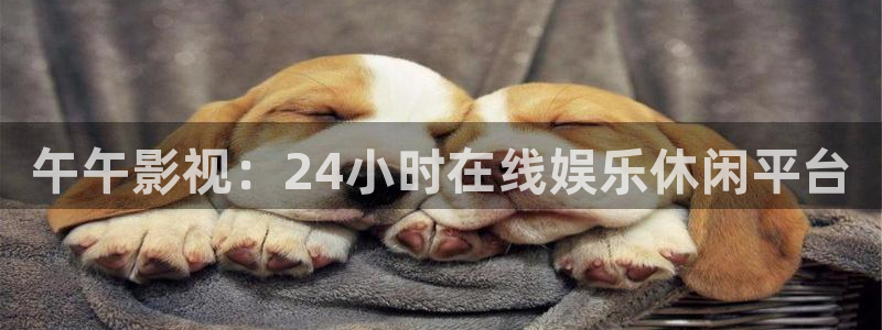 人人影院在线观看免费高清电视剧