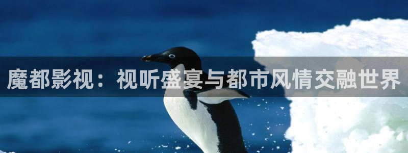 人人影院免费观看