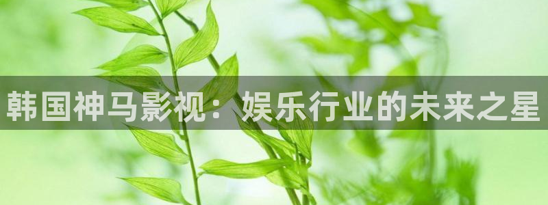 理论片人人影院