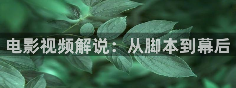 人人影院电影免费观看