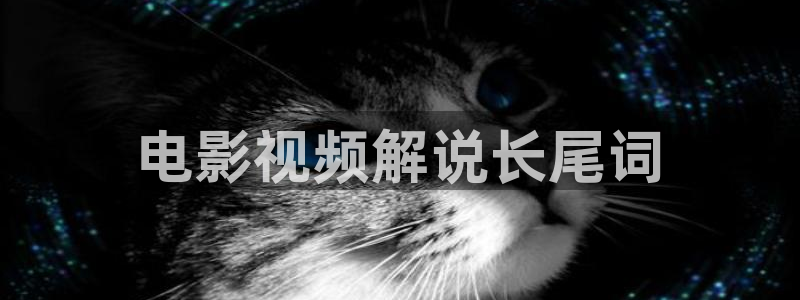 人人影院在线看：电影视频解说长尾词