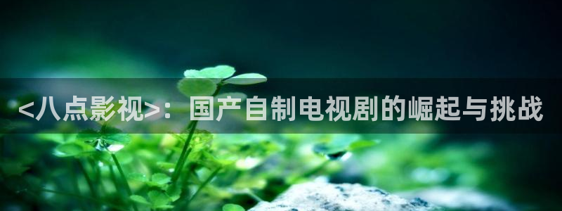 人人影院1024：<八点影视>：国产自制电视剧的崛起与挑战