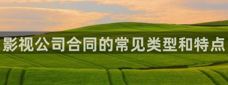 人人视频电视版：影视公司合同的常见类型和特点