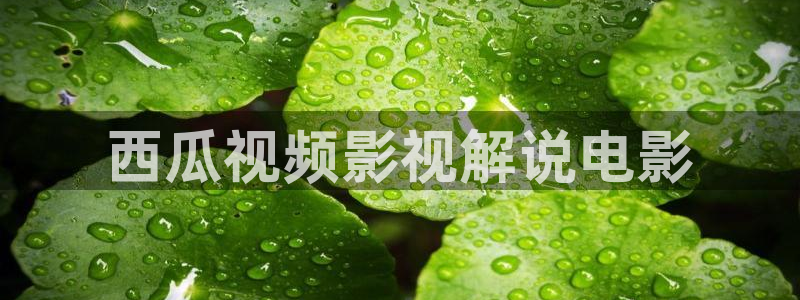 人人影院在线观看：西瓜视频影视解说电影