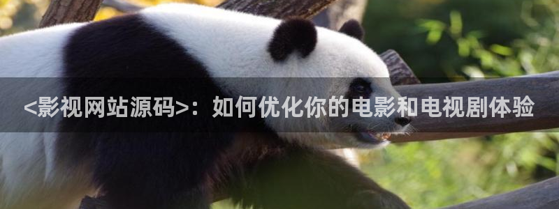人人影视免费追剧：<影视网站源码>：如何优化你的电影和电视剧体验