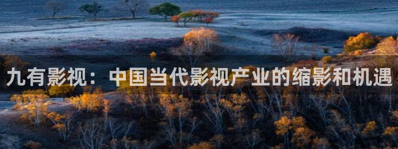 人人影片：九有影视：中国当代影视产业的缩影和机遇