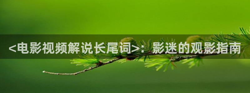 人人影视在线观看：<电影视频解说长尾词>：影迷的观影指南